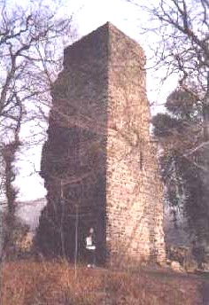  Ruine der Motte Luttelnau 