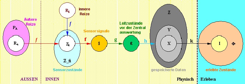 Sensorisches Erleben