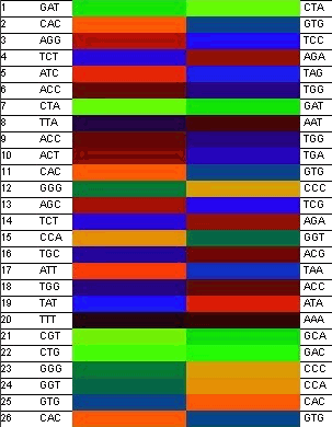  DNA-Sequenz 