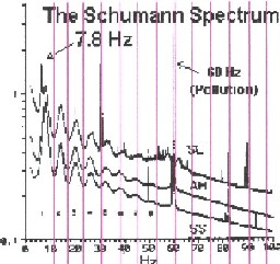  Schumannspektrum mit Erdfrequenzen 