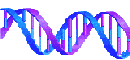  Genome Art 