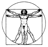 Proportionsschema von Leonardo da Vinci