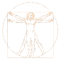 Vitruvian Man von Leonardo da Vinci 